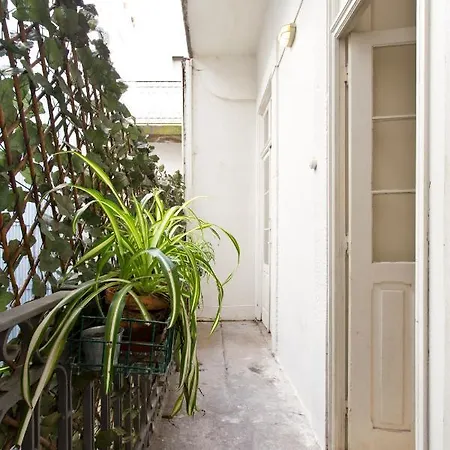 Charming Historic 31 Janeiro Street Lejlighed